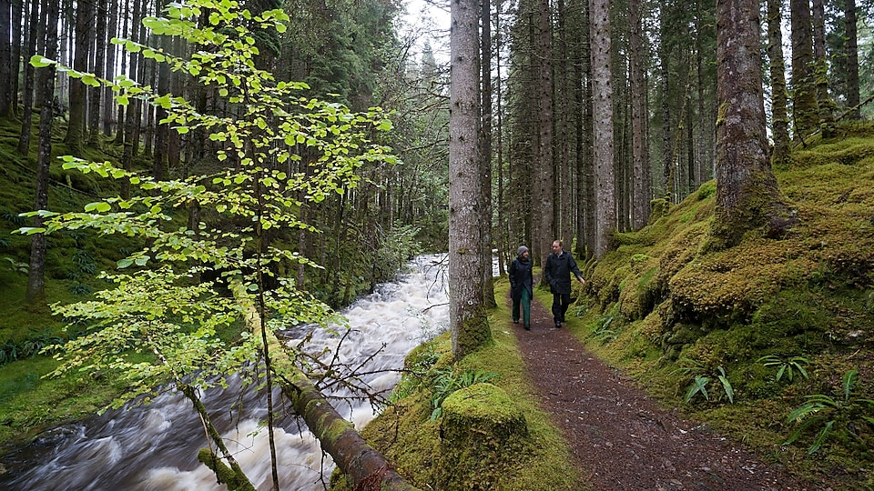 Moški in ženska hodita ob brzicah v gozdu